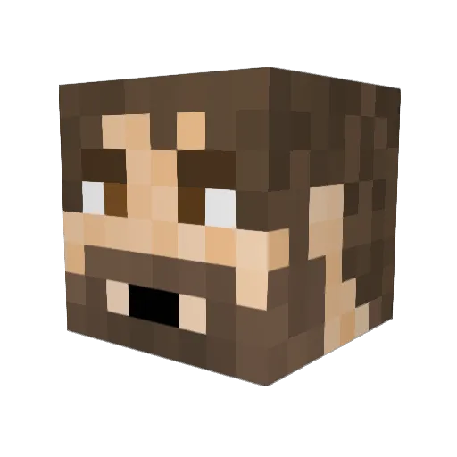 Basslayer24 Minecraft avatar head, 3D render