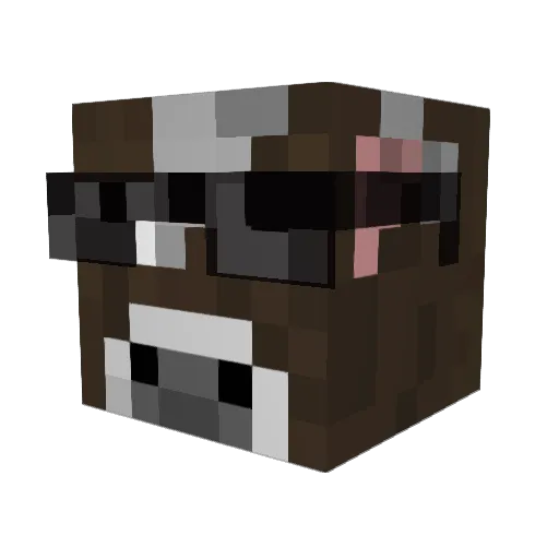 Basso2005 Minecraft avatar head, 3D render