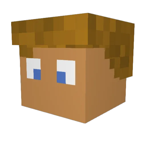 Basta242 Minecraft avatar head, 3D render