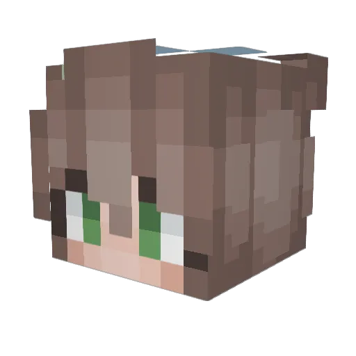 BastardPellitory Minecraft avatar head, 3D render