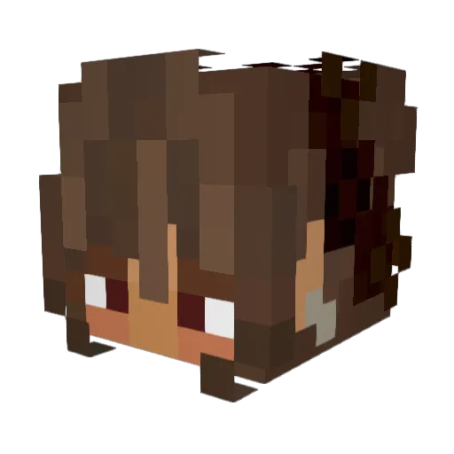 Basti0142008 Minecraft avatar head, 3D render
