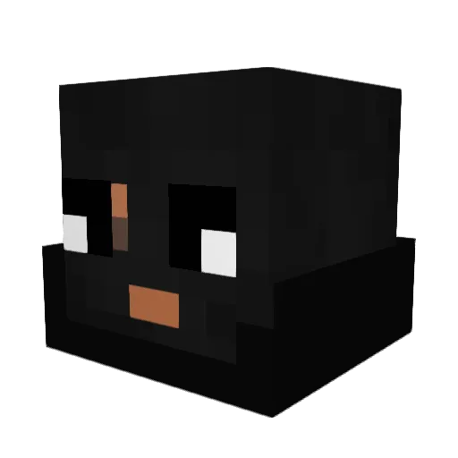 Basti0907 Minecraft avatar head, 3D render