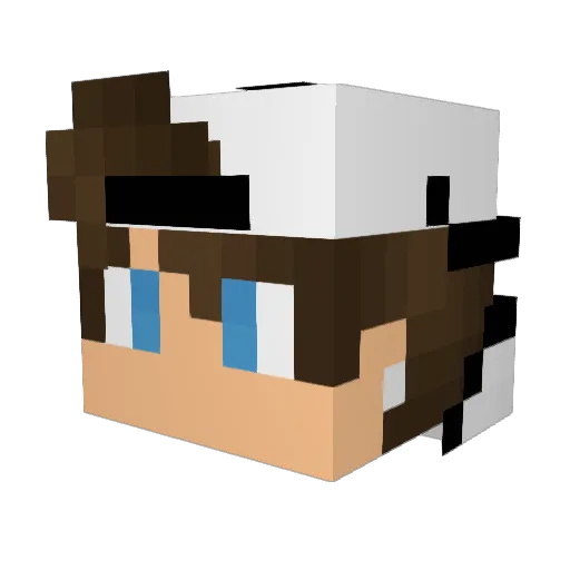 Basti1307 Minecraft avatar head, 3D render
