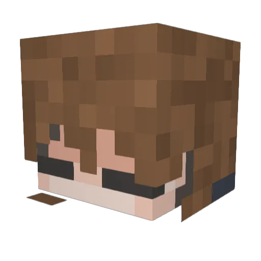 BastiCraft04 Minecraft avatar head, 3D render