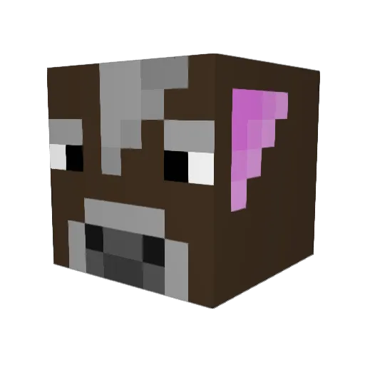 BastiFirePlace Minecraft avatar head, 3D render
