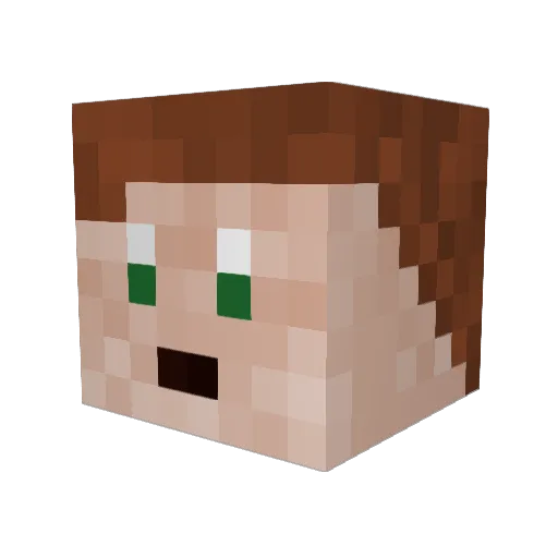 BastiNicerDicer Minecraft avatar head, 3D render