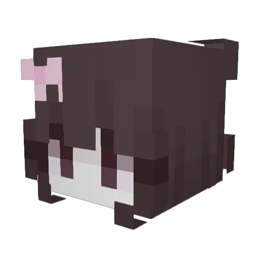 BastiOSUmakii Minecraft avatar head, 3D render