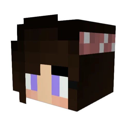 BastiSchatzerle Minecraft avatar head, 3D render