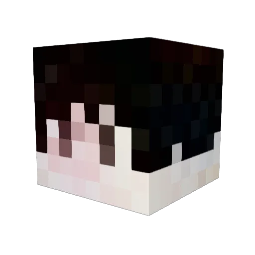 BastianEwan Minecraft avatar head, 3D render