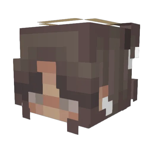 Bastianthesinger Minecraft avatar head, 3D render