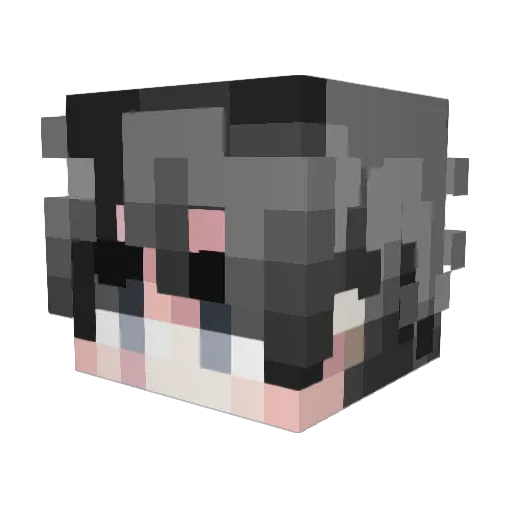 Bastic Minecraft avatar head, 3D render