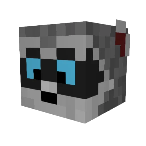 BastienSANTE Minecraft avatar head, 3D render