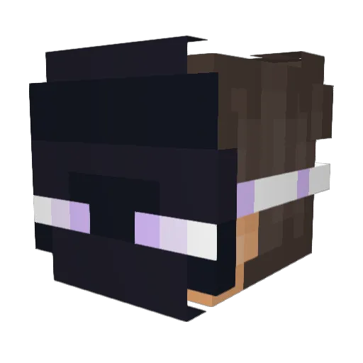 BastionRealm Minecraft avatar head, 3D render