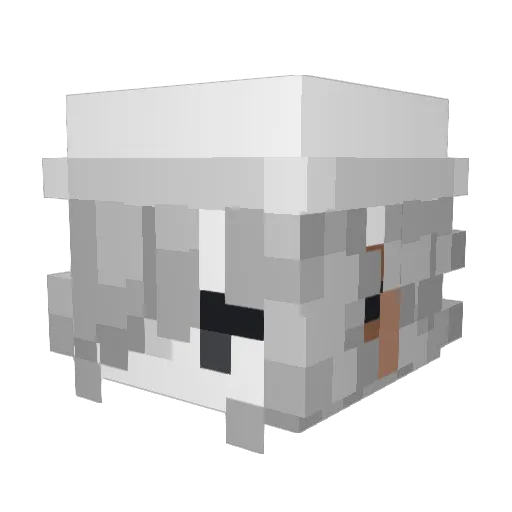 Bastistern123 Minecraft avatar head, 3D render