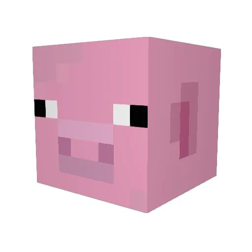 Bastus17 Minecraft avatar head, 3D render
