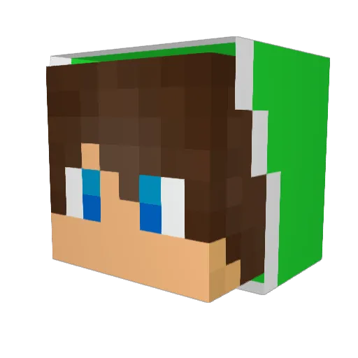 Bat9Mikimouse Minecraft avatar head, 3D render