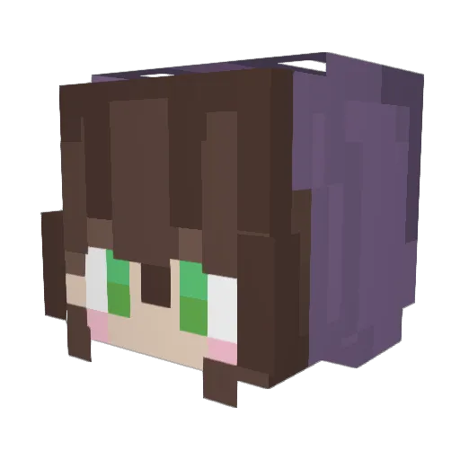 BatBat_Ty12 Minecraft avatar head, 3D render