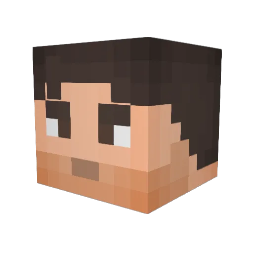 BatCr4ft Minecraft avatar head, 3D render
