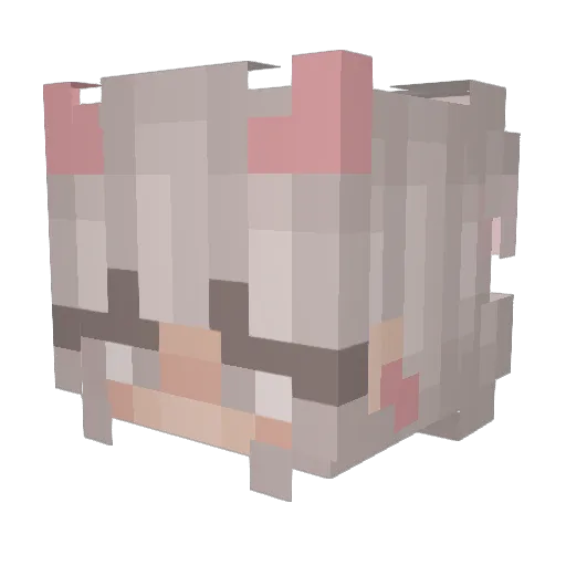 BatGirl1222 Minecraft avatar head, 3D render