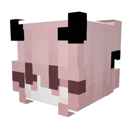 BatGirlx33 Minecraft avatar head, 3D render