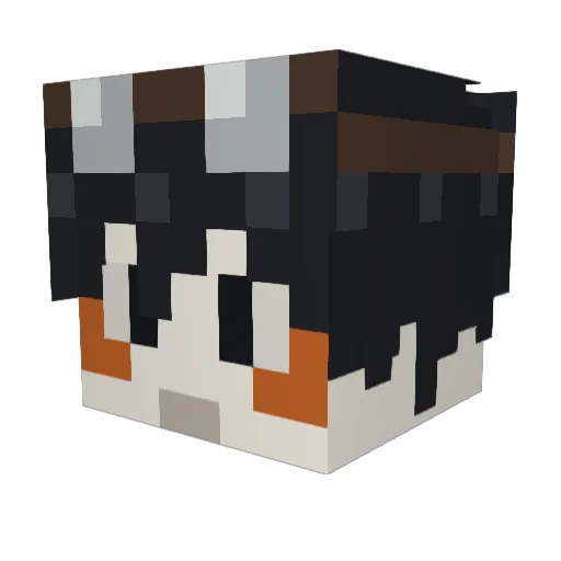 BatMCgamer Minecraft avatar head, 3D render