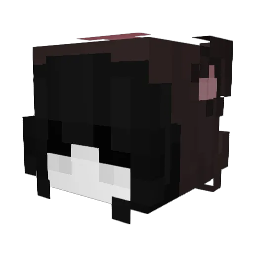 BatSoupys Minecraft avatar head, 3D render
