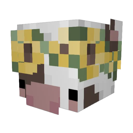 Bat_xx Minecraft avatar head, 3D render
