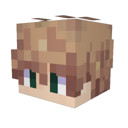 BatataJr15 Minecraft avatar head, 3D render