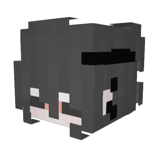 BatataLw0 Minecraft avatar head, 3D render