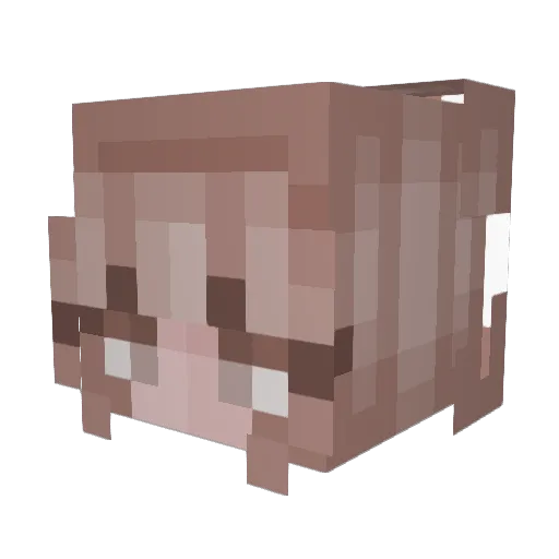 Batavia_2 Minecraft avatar head, 3D render