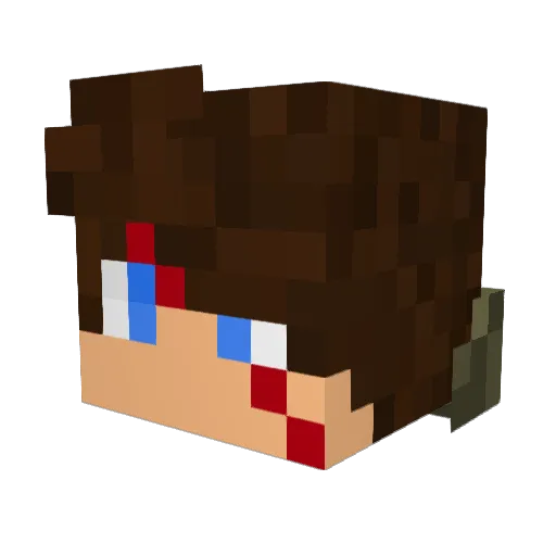 Batboy1264 Minecraft avatar head, 3D render