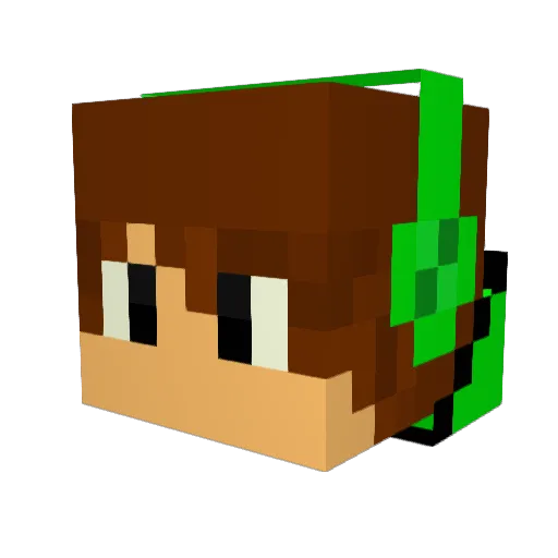 Batboy820 Minecraft avatar head, 3D render