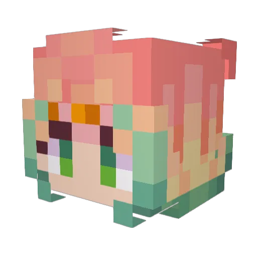 BathwaterDolphin Minecraft avatar head, 3D render
