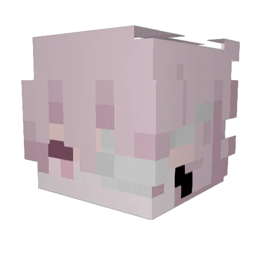 Batixavi Minecraft avatar head, 3D render