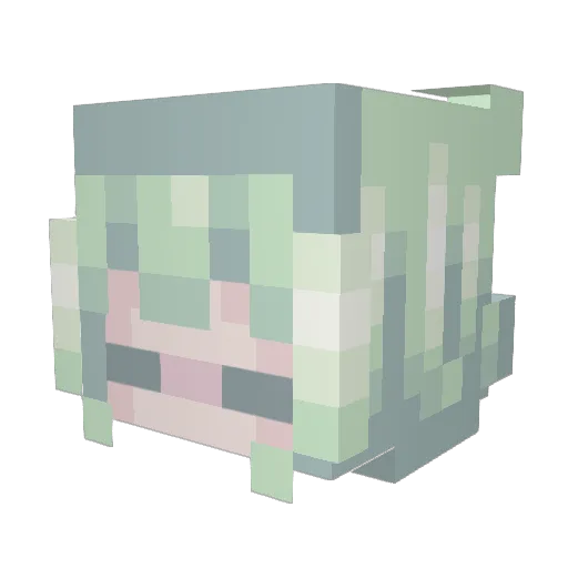 BatmanB69 Minecraft avatar head, 3D render