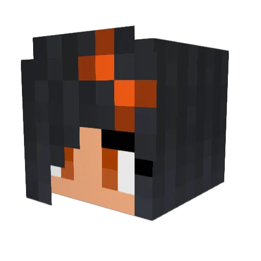 Batman_Zo Minecraft avatar head, 3D render