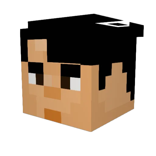 Batmax1200 Minecraft avatar head, 3D render