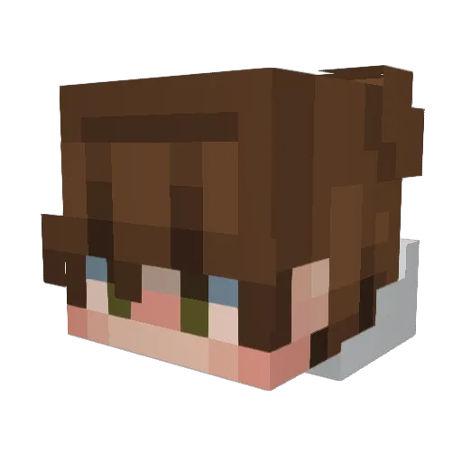 Batourek Minecraft avatar head, 3D render