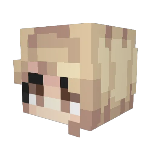 Batr Minecraft avatar head, 3D render
