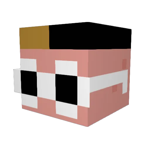 Batrick19 Minecraft avatar head, 3D render