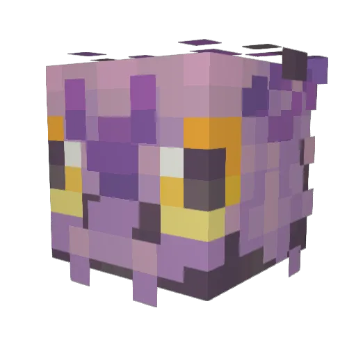 BatsGoScreechh Minecraft avatar head, 3D render