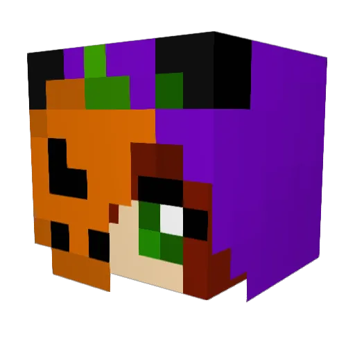 BatsKikker Minecraft avatar head, 3D render