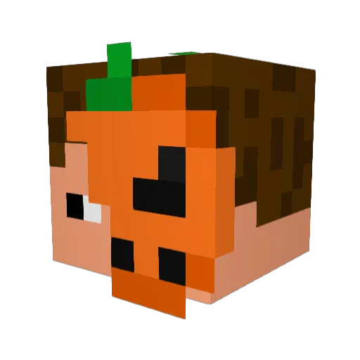 Batschisgor_YT Minecraft avatar head, 3D render