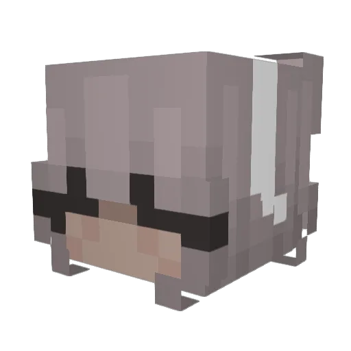 BatterMG Minecraft avatar head, 3D render