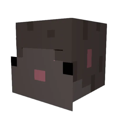 BattleBoy2555 Minecraft avatar head, 3D render