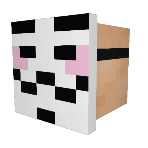 BattleFIN Minecraft avatar head, 3D render