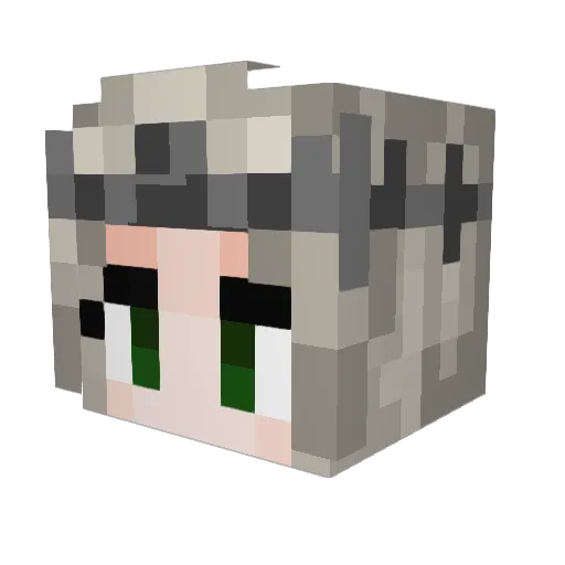 BattleField2442 Minecraft avatar head, 3D render