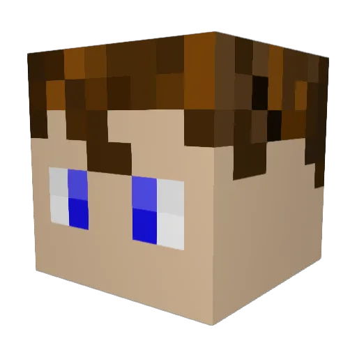 BattleIsNice Minecraft avatar head, 3D render