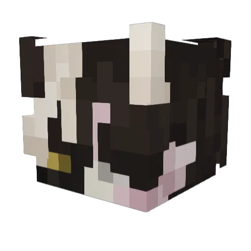 BattleMaidenE Minecraft avatar head, 3D render