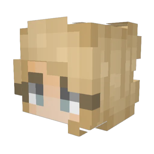 BattlePenguin17 Minecraft avatar head, 3D render